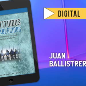 CONSTITUIDOS Y ESTABLECIDOS